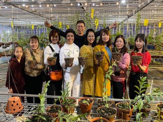 Nguyễn Phương Hồng chia sẻ Kỹ thuật trồng và chăm sóc lan Phi điệp nở hoa đẹp